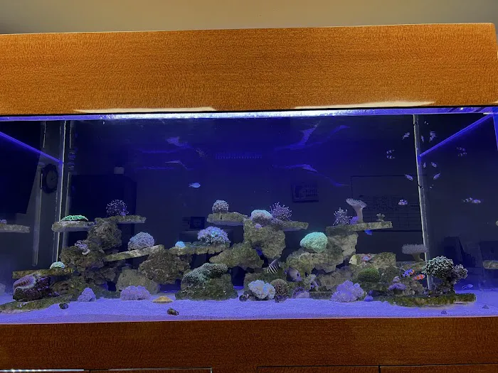 Reef factory us Picture 2