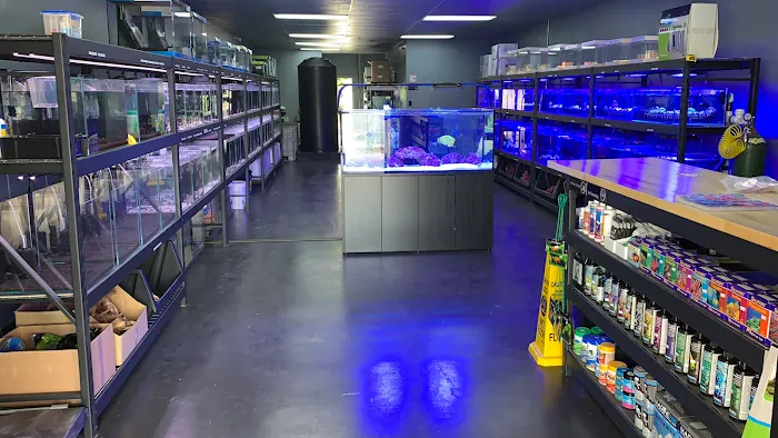 Reef factory us Picture 8