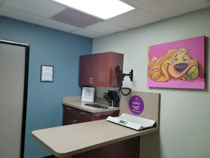VCA El Mirage Animal Hospital Picture 5