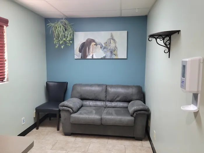 VCA El Mirage Animal Hospital Picture 6