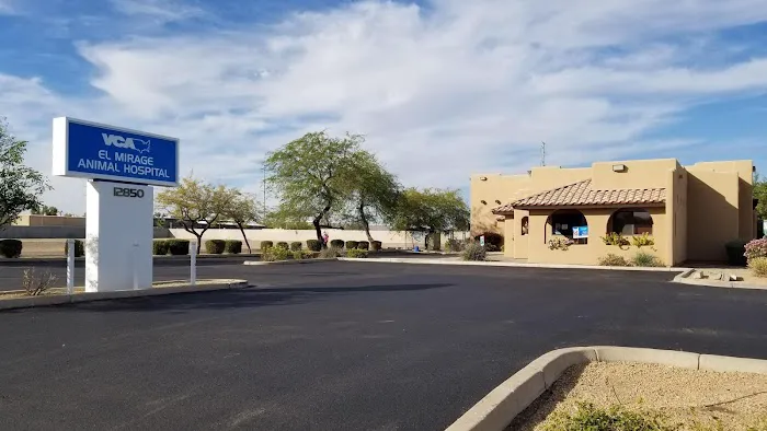 VCA El Mirage Animal Hospital Picture 10
