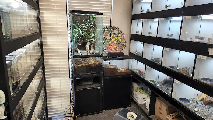 Reptile Island Picture 3