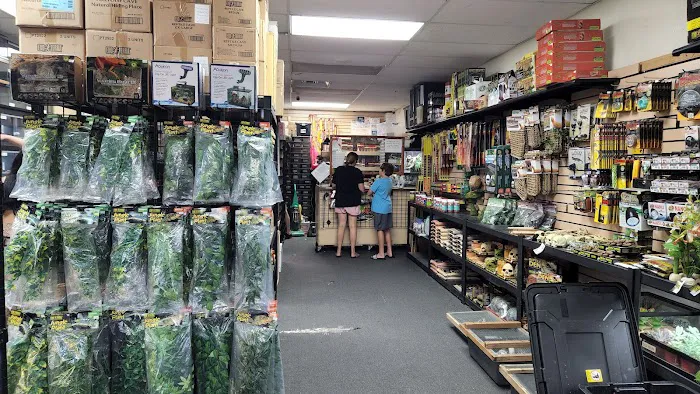 Reptile Island Picture 4