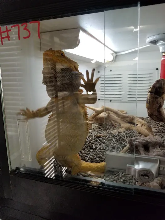 Reptile Island Picture 7