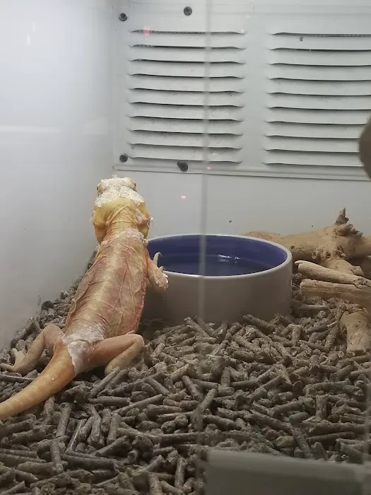 Reptile Island Picture 8