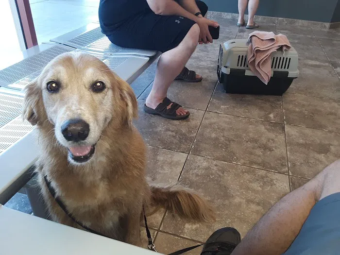 Purrfurred Pets Veterinary Clinic Picture 7