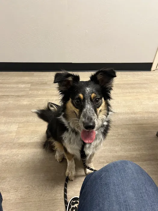 Purrfurred Pets Veterinary Clinic Picture 9