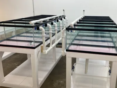 AquaPro Aquarium Service Picture 3