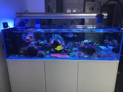 AquaPro Aquarium Service Picture 4