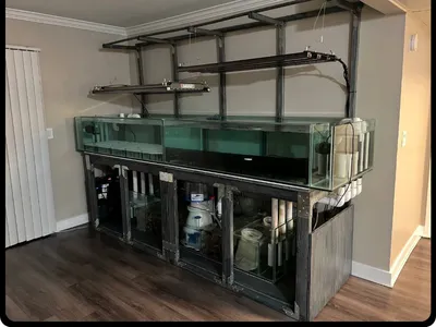 AquaPro Aquarium Service Picture 6