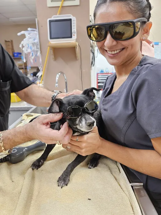 Sun City West Animal Hospital Picture 1