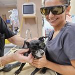 Sun City West Animal Hospital