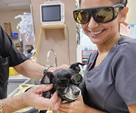 Sun City West Animal Hospital