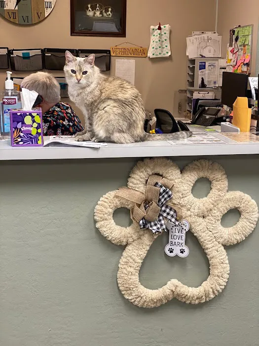 Sun City West Animal Hospital Picture 9