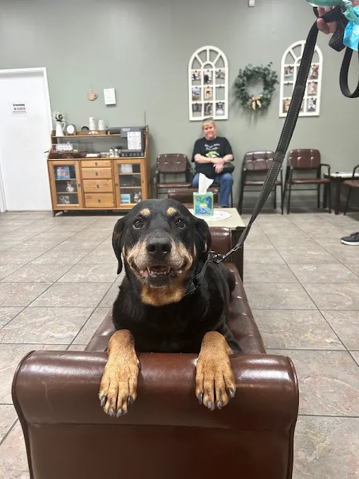 Sun City West Animal Hospital Picture 10