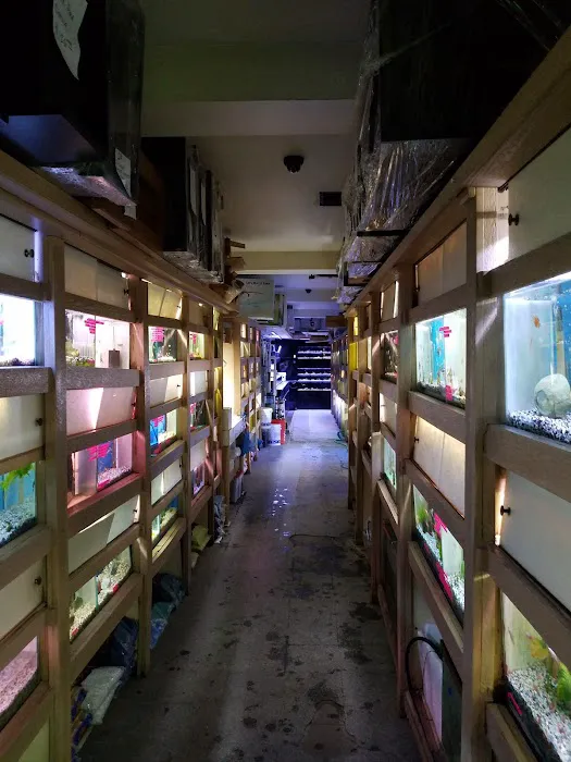 Aquarium City Picture 2