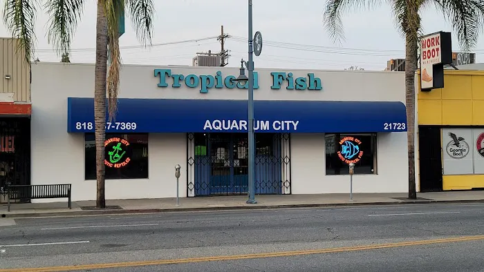 Aquarium City Picture 4