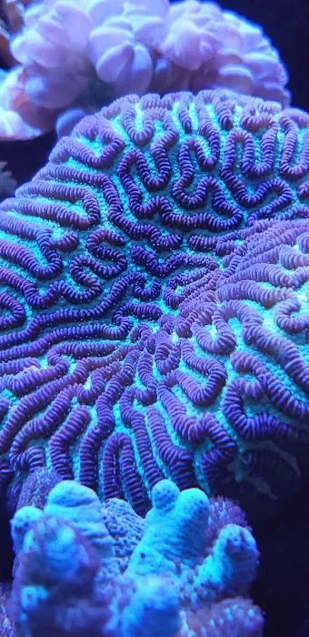 Aquarium City Picture 1