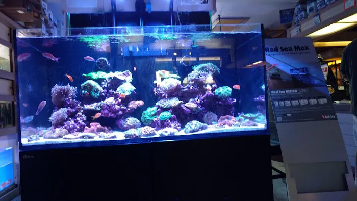 Aquarium City Picture 8