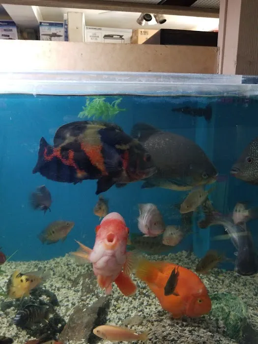 Aquarium City Picture 10