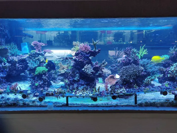 Aquarium City Picture 9
