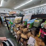 Canoga Discount Birds