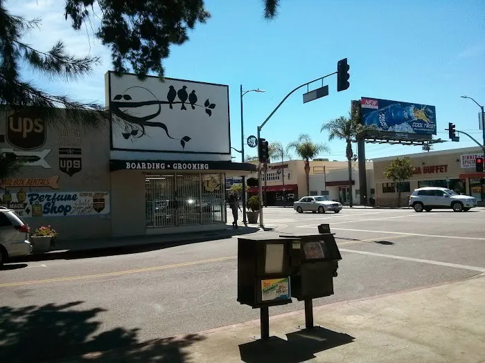 Canoga Discount Birds Picture 7
