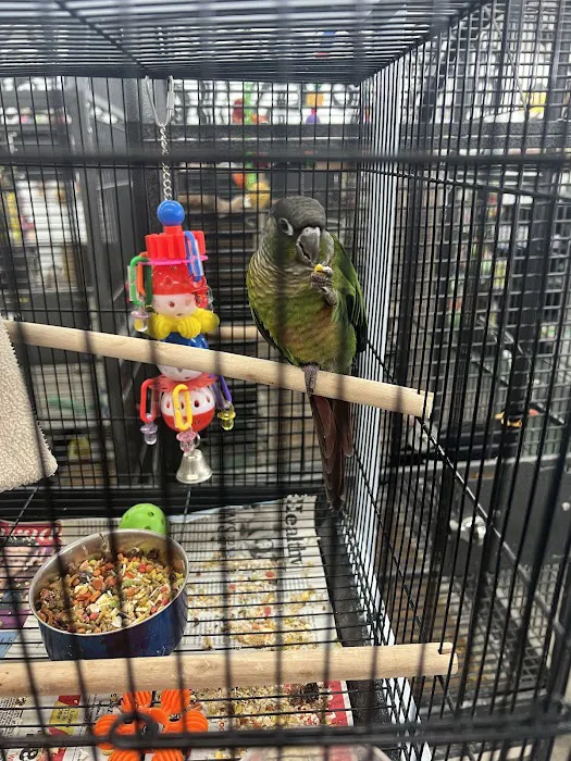 Canoga Discount Birds Picture 4