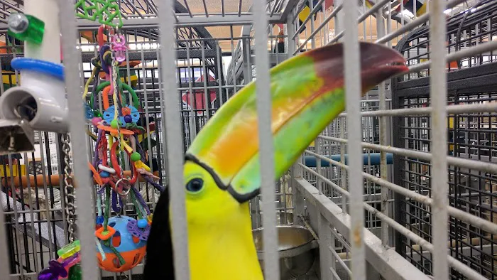 Canoga Discount Birds Picture 6