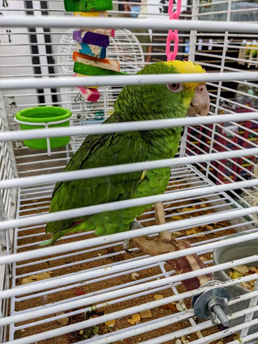 Canoga Discount Birds Picture 10