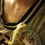 Exotic Life Fish & Reptiles