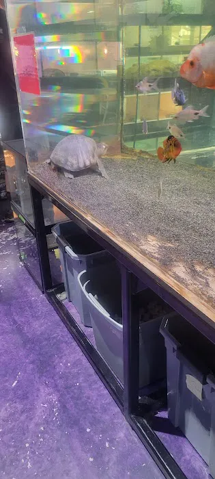 Exotic Life Fish & Reptiles Picture 7