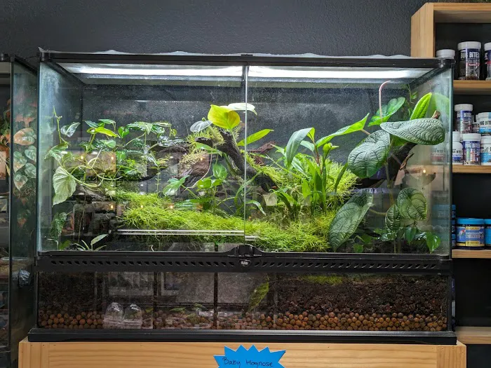 Exotic Life Fish & Reptiles Picture 8