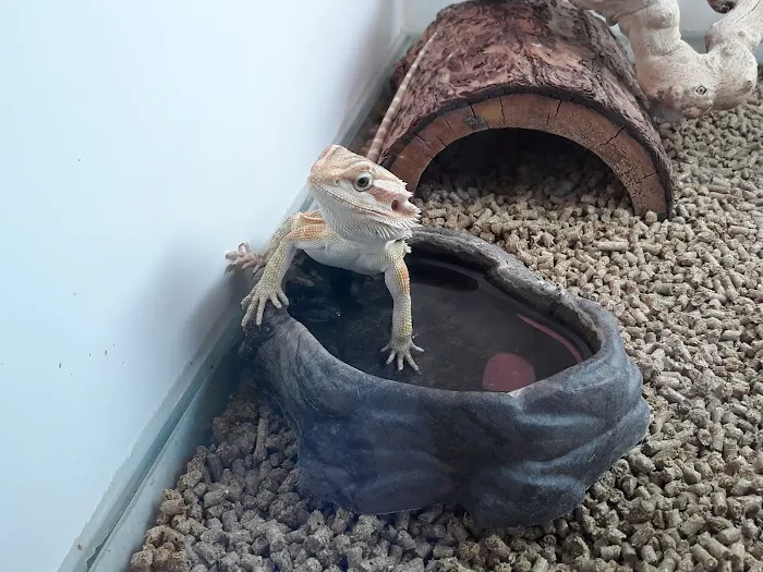 Exotic Life Fish & Reptiles Picture 10