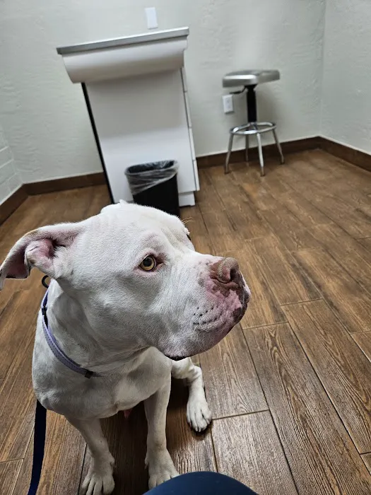 Homestead Animal Clinic Picture 9
