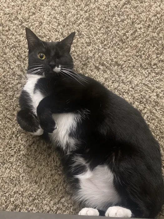 EVE Pet Hospital Picture 1