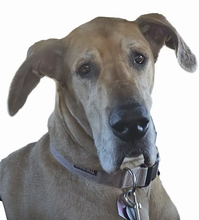 EVE Pet Hospital Picture 8