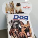 Central Mesa Veterinary Hospital