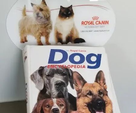Central Mesa Veterinary Hospital