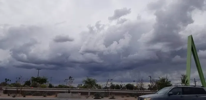Central Mesa Veterinary Hospital Picture 3
