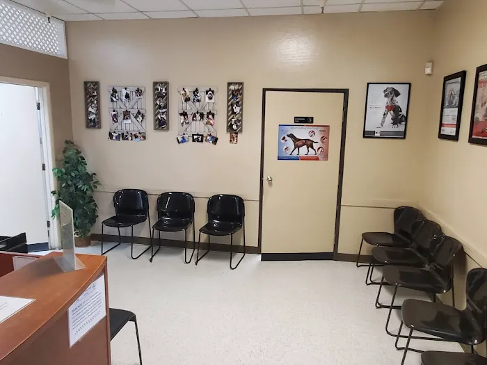 Spay Neuter Clinic: Mesa Picture 2