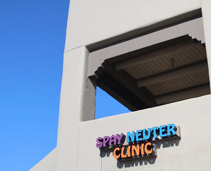 Spay Neuter Clinic: Mesa Picture 4