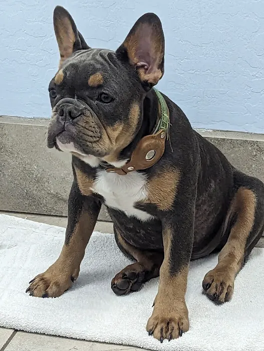 Noe's Ark Animal Hospital Picture 7