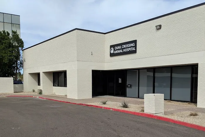 Quail Crossing Animal Hospital Picture 10