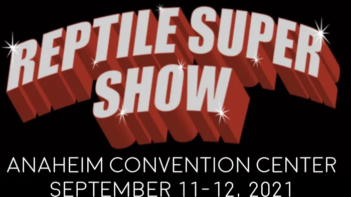 Reptile Super Show Picture 3