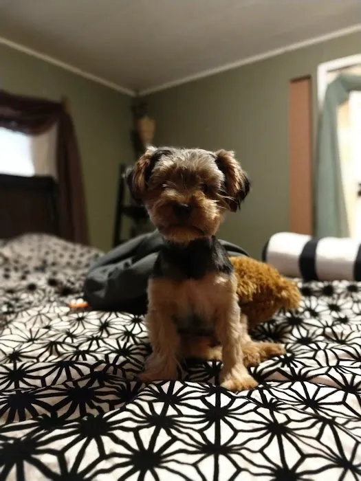 Lovet Pet Health Care - Scottsdale Hills Picture 1