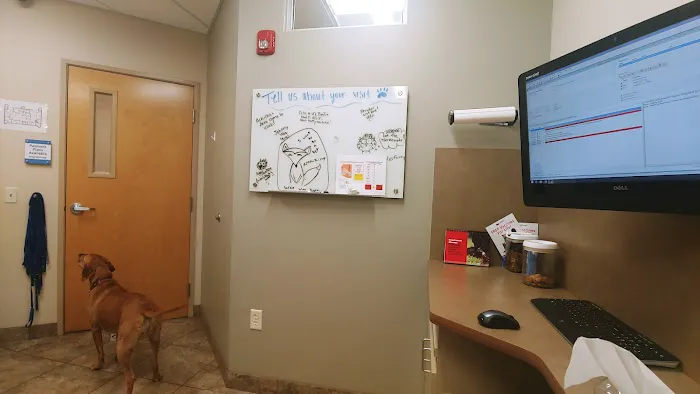 Lovet Pet Health Care - Scottsdale Hills Picture 7