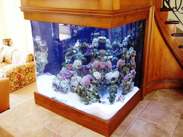 Fish By Design Picture 3