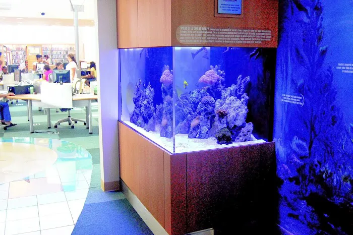 Fish By Design Picture 2