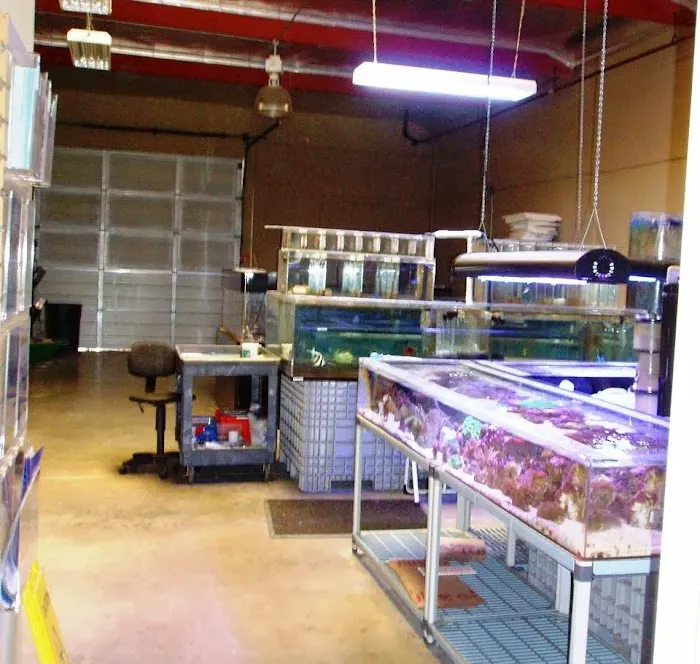 Fish By Design Picture 9